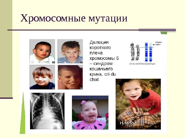 Хромосомные мутации 