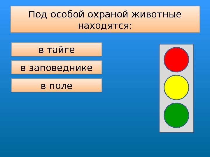 Под особой охраной животные находятся: в тайге в заповеднике в поле 33 05 08