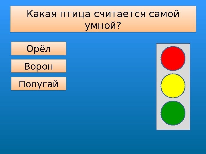 Какая птица считается самой умной? Орёл Попугай Ворон 0102 0 D 3216 33 2