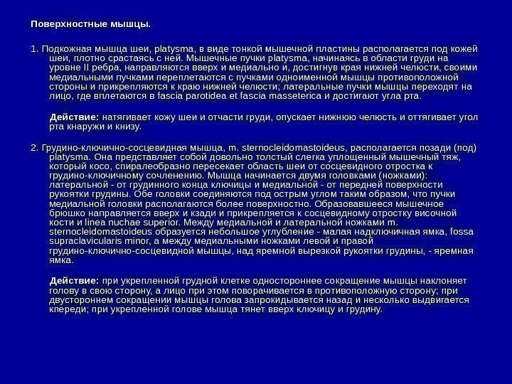   Поверхностные мышцы. 1. Подкожная мышца шеи, platysma, в виде тонкой мышечной пластины