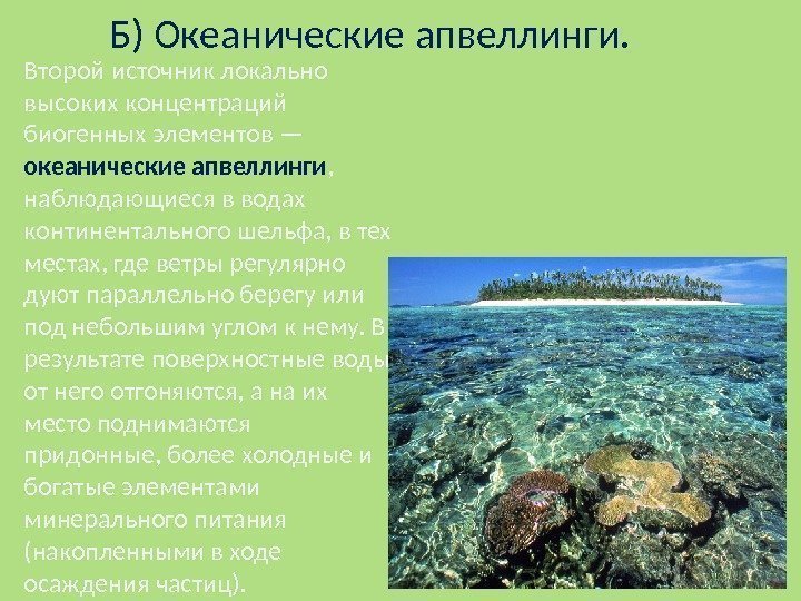 Б) Океанические апвеллинги. Второй источник локально высоких концентраций биогенных элементов — океанические  апвеллинги