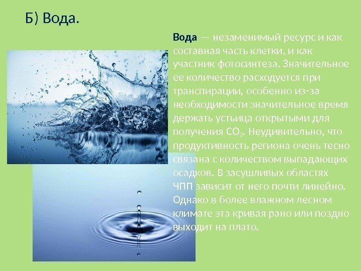 Б) Вода  — незаменимый ресурс и как составная часть клетки, и как участник