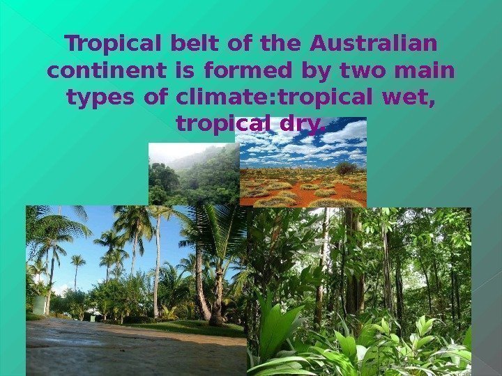 Tropical belt of the Australian continent is formed by two main types of climate: