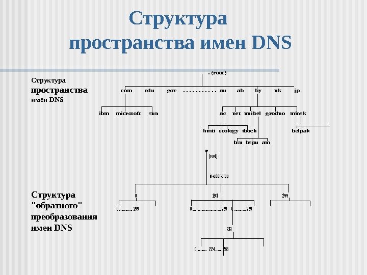   Структура пространства имен DNS        .