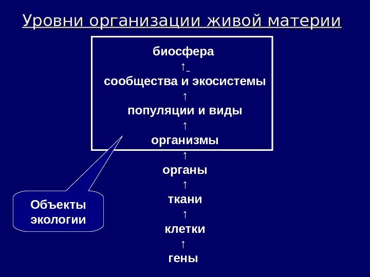 Уровни организации живой материи  биосфера ↑  сообщества и экосистемы ↑ популяции и