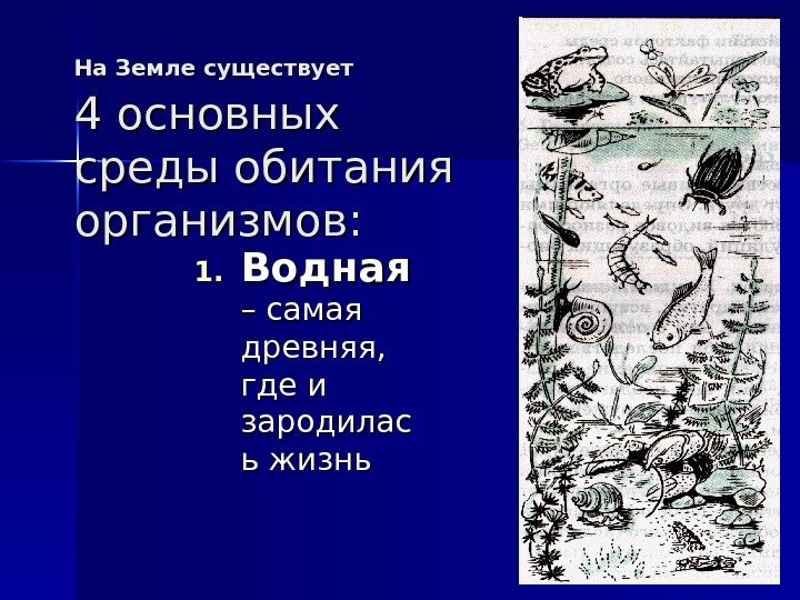 На Земле существует  4 основных среды обитания организмов : :  1. 1.