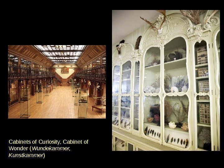 Cabinets of Curiosity, Cabinet of Wonder ( Wundekammer,  Kunstkammer ) 