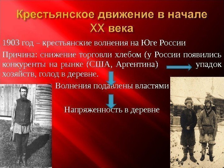 1903 год – крестьянские волнения на Юге России Причина:  снижение торговли хлебом (у
