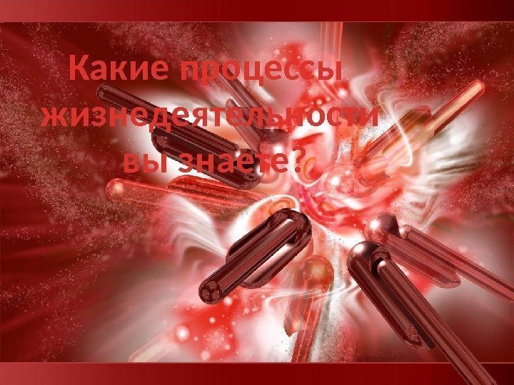 Какие процессы жизнедеятельности  вы знаете? 