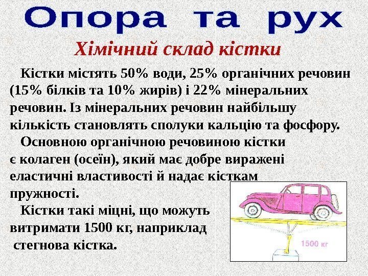 Хімічний склад кістки Кістки містять 50 води, 25 органічних речовин (15 білків та 10