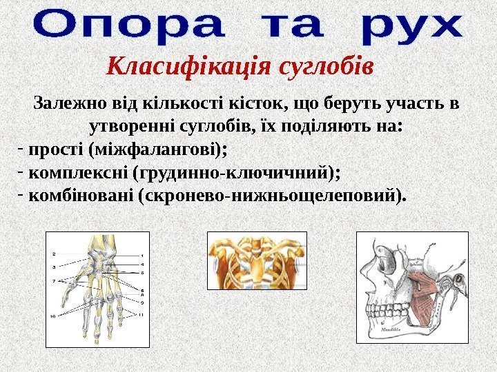 Класифікація суглобів Залежно від кількості кісток, що беруть участь в утворенні суглобів, їх поділяють