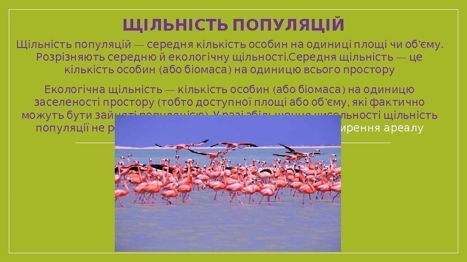  ЩІЛЬНІСТЬ ПОПУЛЯЦІЙ  —    ’.  Щільність популяцій середня кількість