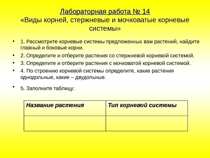 Лабораторная работа № 14 «Виды корней, стержневые и мочковатые корневые системы»  • 1.