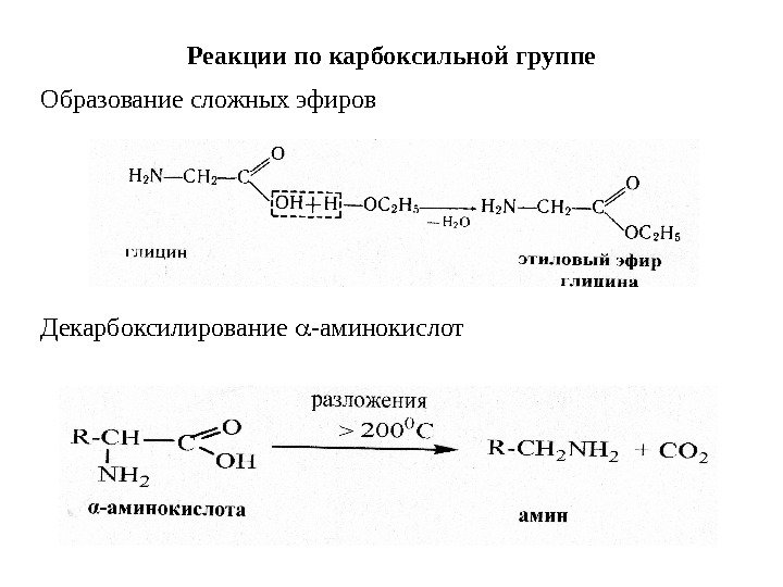   Реакции по карбоксильной группе  Образование сложных эфиров   Декарбоксилирование 