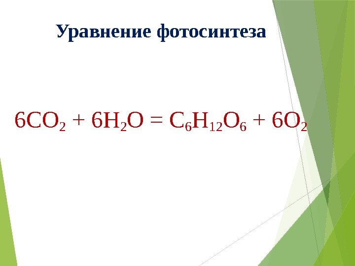 Уравнение фотосинтеза 6 CO 2 + 6 H 2 O = C 6 H