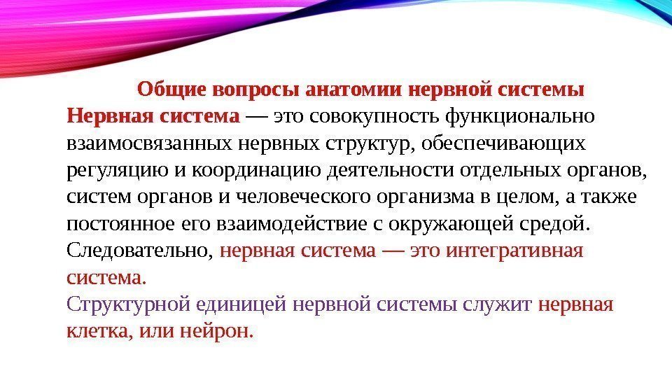 Общие вопросы анатомии нервной системы Нервная система — это совокупность функционально взаимосвязанных нервных структур,