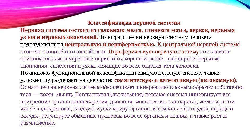 Классификация нервной системы Нервная система состоит из головного мозга, спинного мозга, нервов, нервных узлов