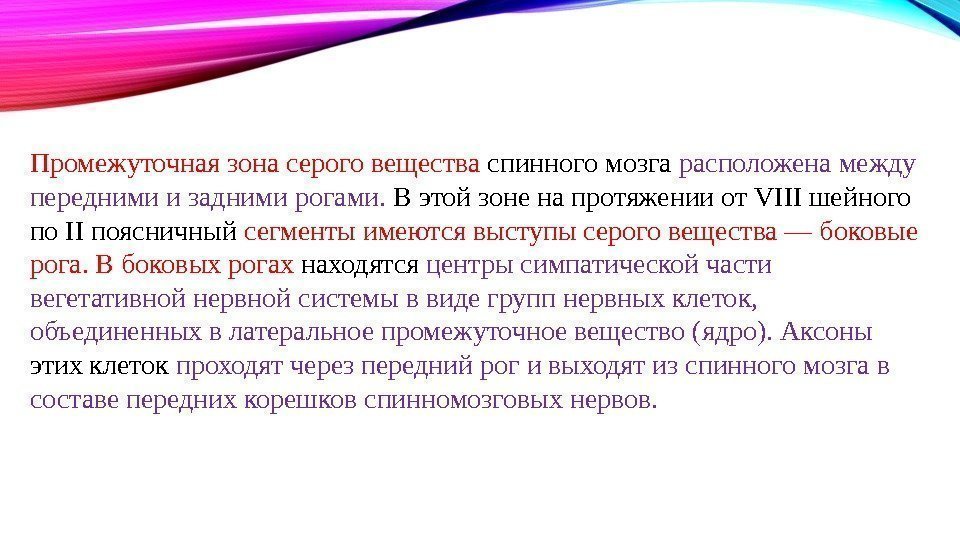 Промежуточная зона серого вещества спинного мозга расположена между передними и задними рогами.  В