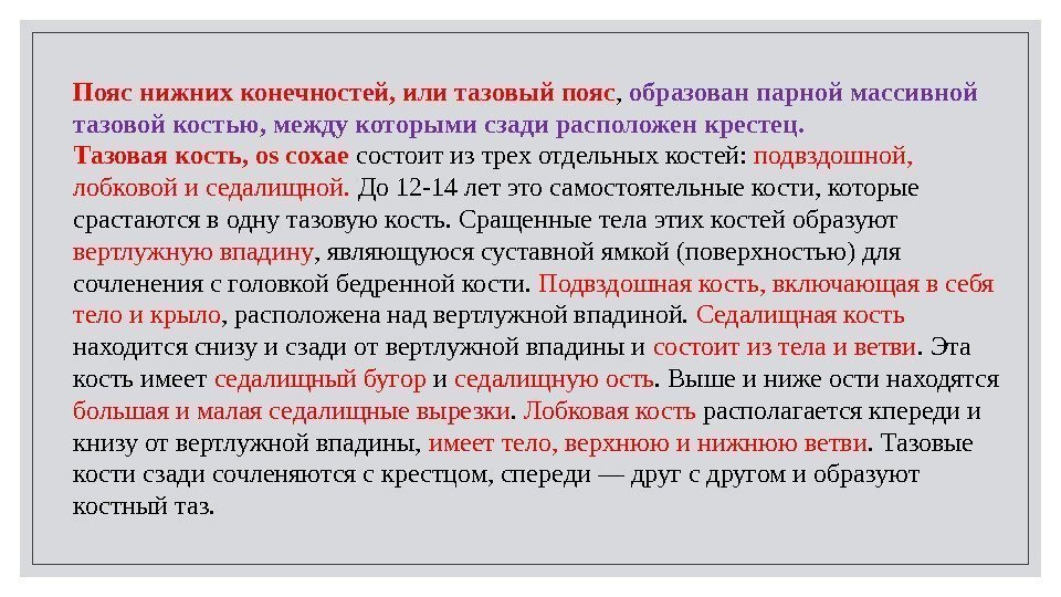 Пояс нижних конечностей, или тазовый пояс ,  образован парной массивной тазовой костью, между