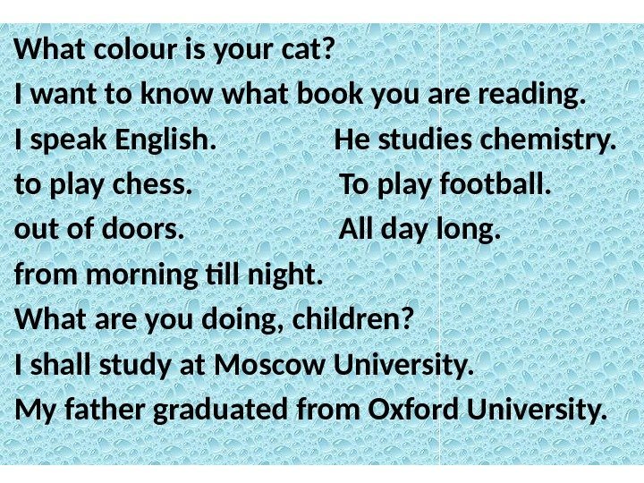  What colour is your cat?  I want to know what book you