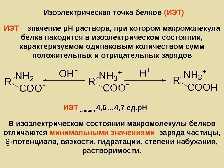   Изоэлектрическая точка белков (ИЭТ) ИЭТ – значение р. Н раствора, при котором