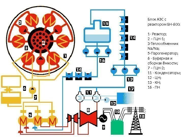 Блок АЭС с реактором БН-600: 1 - Реактор;  2 – ГЦН-1; 3 -Теплообменник