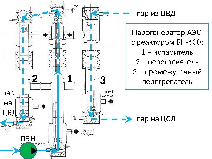 Парогенератор АЭС с реактором БН-600: 1 – испаритель 2 – перегреватель 3 – промежуточный