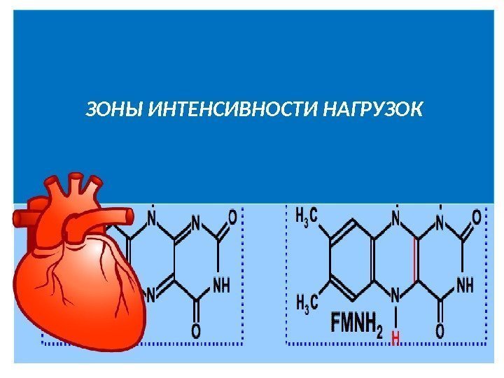 ЗОНЫ ИНТЕНСИВНОСТИ НАГРУЗОК 