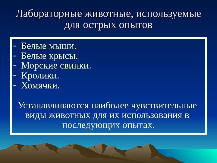 Лабораторные животные, используемые для острых опытов - Белые мыши. - Белые крысы. - Морские