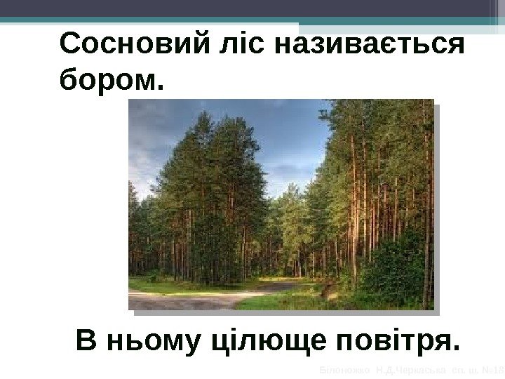 Сосновий ліс називається бором.  В ньому цілюще повітря.  Білоножко Н. Д. Черкаська