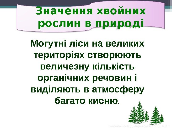 Значення хвойних рослин в природі Могутні ліси на великих територіях створюють величезну кількість органічних