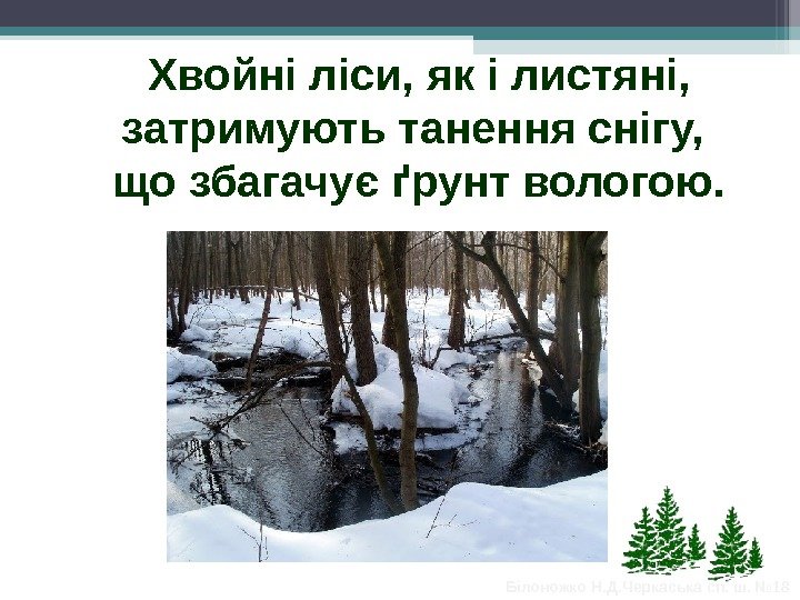 Хвойні ліси, як і листяні,  затримують танення снігу,  що збагачує ґрунт вологою.