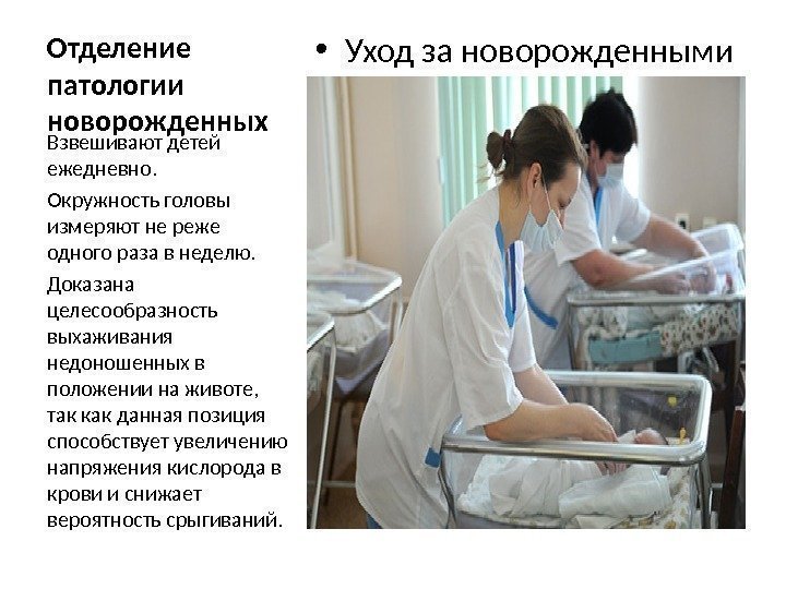 Отделение патологии новорожденных • Уход за новорожденными Взвешивают детей ежедневно.  Окружность головы измеряют