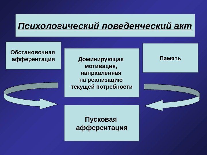   Психологический поведенческий акт Обстановочная афферентация Память Доминирующая мотивация,  направленная на реализацию