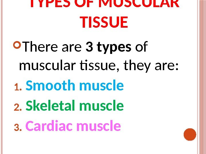 TYPES OF MUSCULAR TISSUE There are 3 types of muscular tissue, they are: 1.