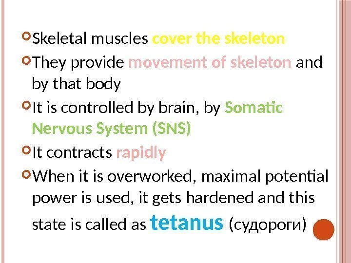  Skeletal muscles cover the skeleton They provide movement of skeleton and by that