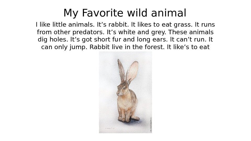 My Favorite wild animal I like little animals. It’s rabbit. It likes to eat