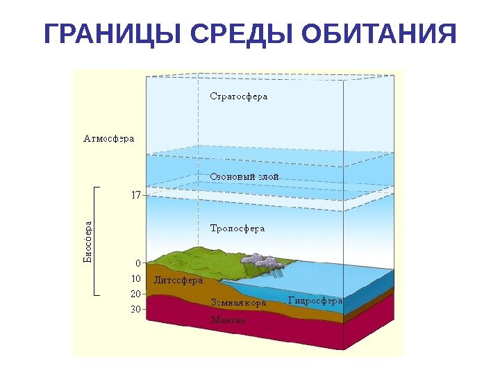 ГРАНИЦЫ СРЕДЫ ОБИТАНИЯ 