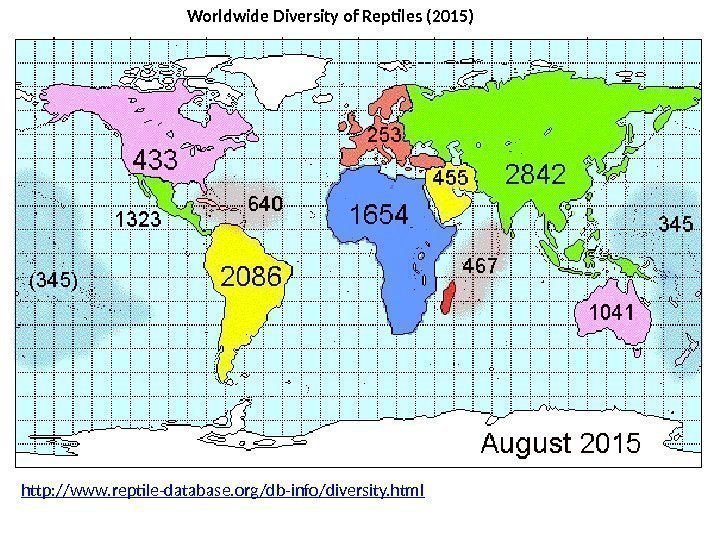 Worldwide Diversity of Reptiles (2015) http: //www. reptile-database. org/db-info/diversity. html 