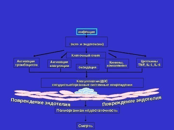 инфекция (( экзо- и эндотоксин) Клеточный ответ оксидация. Активация тромбоцитов Кинины,  комплемент Коагулопатия