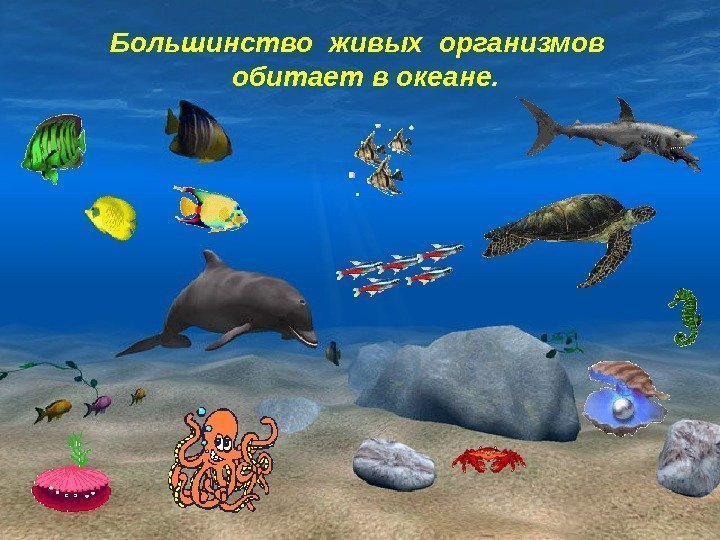 Большинство живых организмов  обитает в океане. 