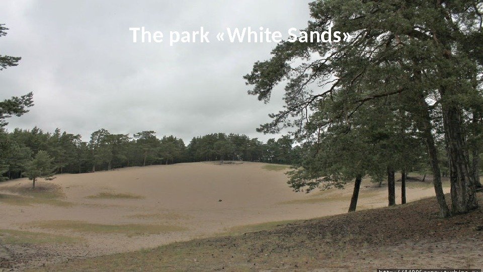 The park «White Sands» 