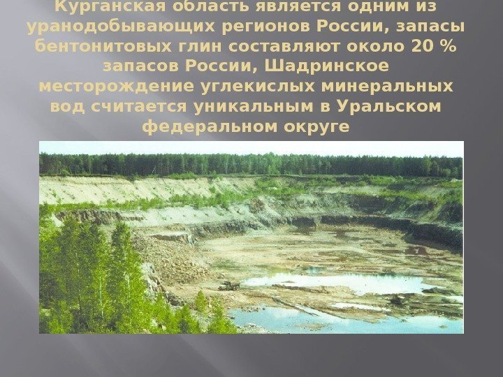 Курганская область является одним из уранодобывающих регионов России, запасы бентонитовых глин составляют около 20