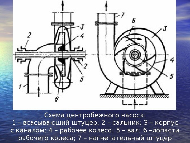 Схема центробежного насоса: 1– всасывающий штуцер; 2– сальник; 3– корпус с каналом; 4– рабочее