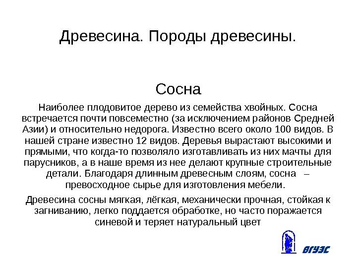 Древесина. Породы древесины. Сосна Наиболее плодовитое дерево из семейства хвойных. Сосна встречается почти повсеместно