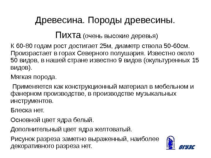 Древесина. Породы древесины.  Пихта (очень высокие деревья) К 60 -80 годам рост достигает