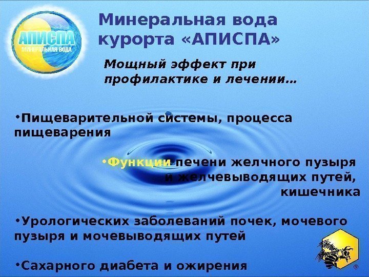   • Пищеварительной системы, процесса пищеварения • Функции печени желчного пузыря и желчевыводящих