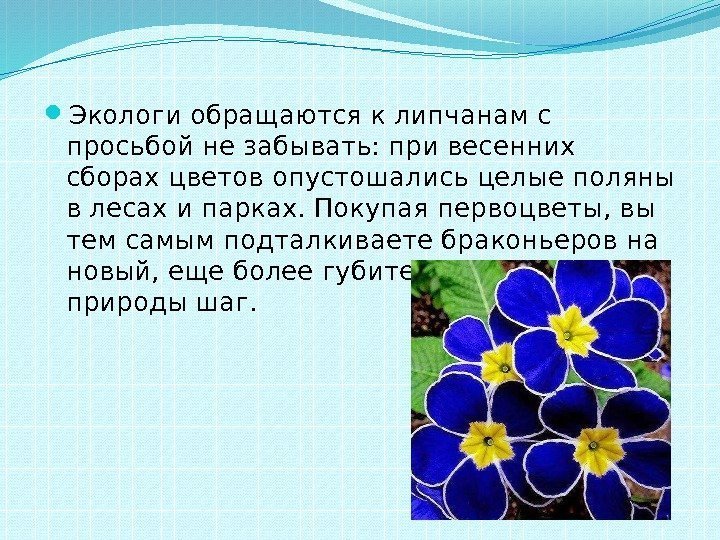  Экологи обращаются к липчанам с просьбой не забывать: при весенних сборах цветов опустошались