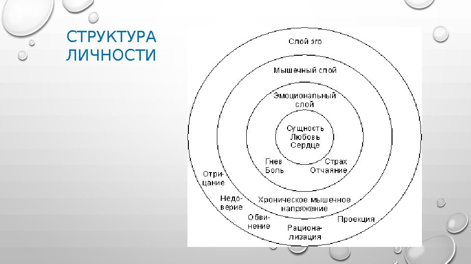 СТРУКТУРА ЛИЧНОСТИ 