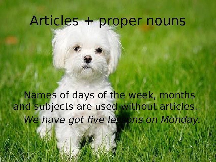 Articles + proper nouns Names of days of the week, months and subjects are